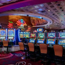 Live-dealer blackjack table on rodabet login showing multiple camera angles and real dealer during Olympic Games broadcast schedule